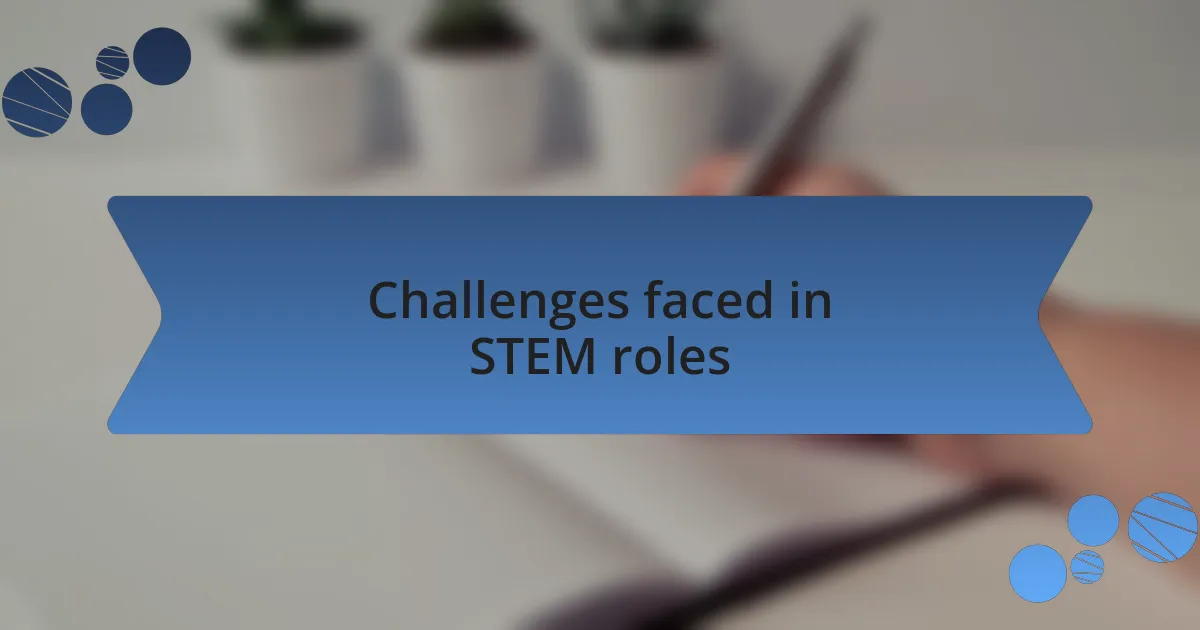 Challenges faced in STEM roles
